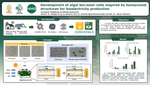 Development of Algal Bio-solar Cell Inspired by Honeycomb Structures for Bio-electricity Production