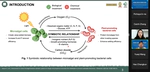 Chalumpol, NIAB lab member, attended Asia Conference on Environmental Science, Green Energy and Applications (ESGEA 2023)